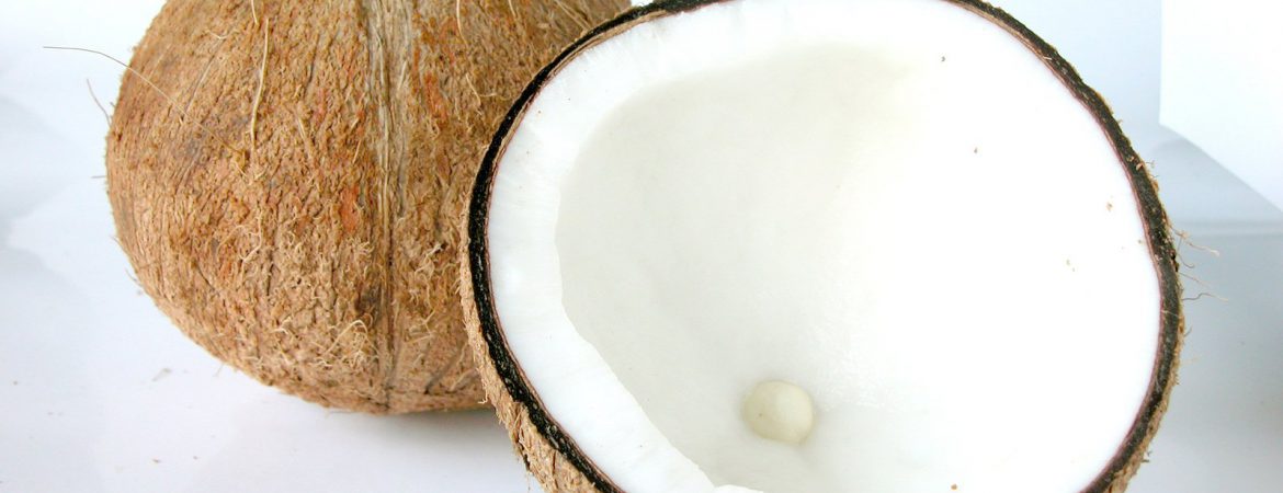 O upotrebi  kokosovog ulja   (samo za one kojima nije dosadilo slušati o njemu)